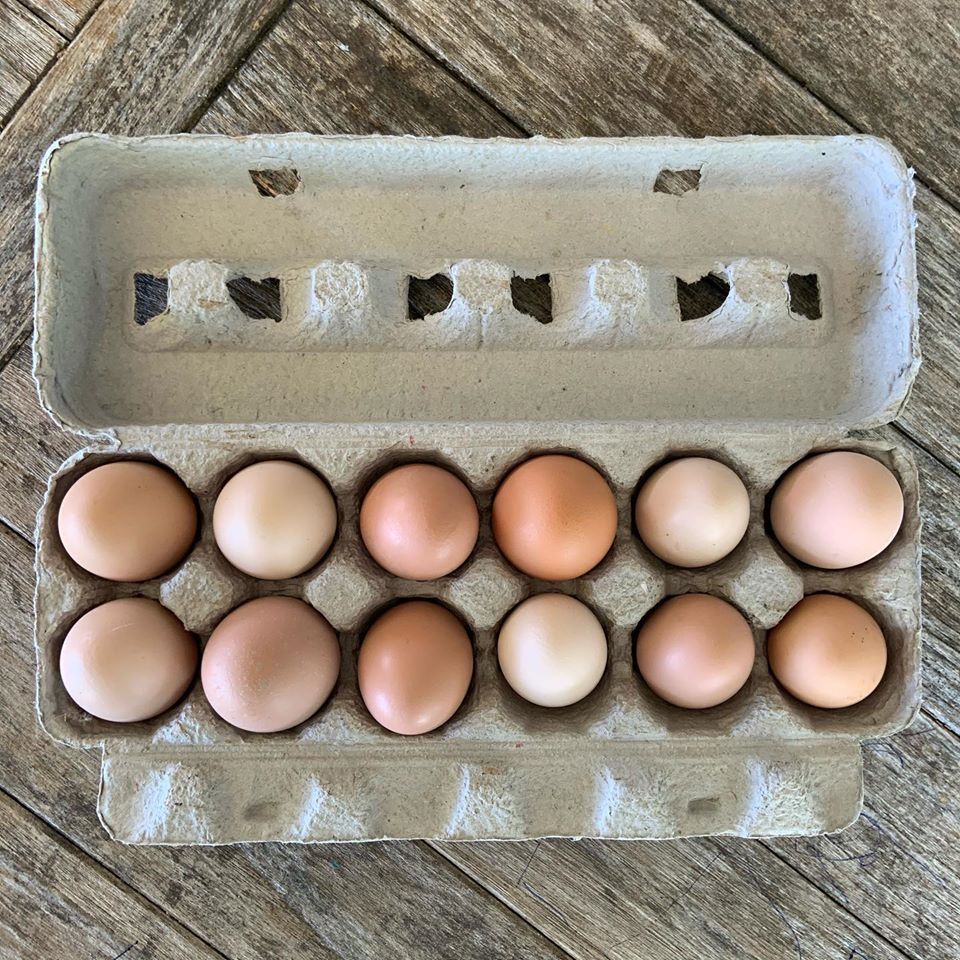 Home-Produced Chicken Eggs - 9.377 - Extension