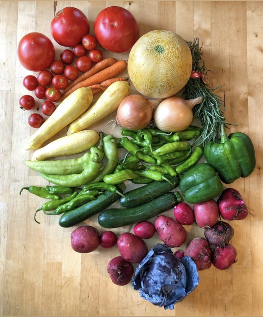 rainbow of veggies